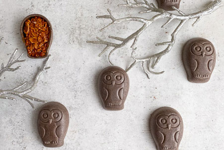 バレンタイン限定、チョコフクロウのフロランタン